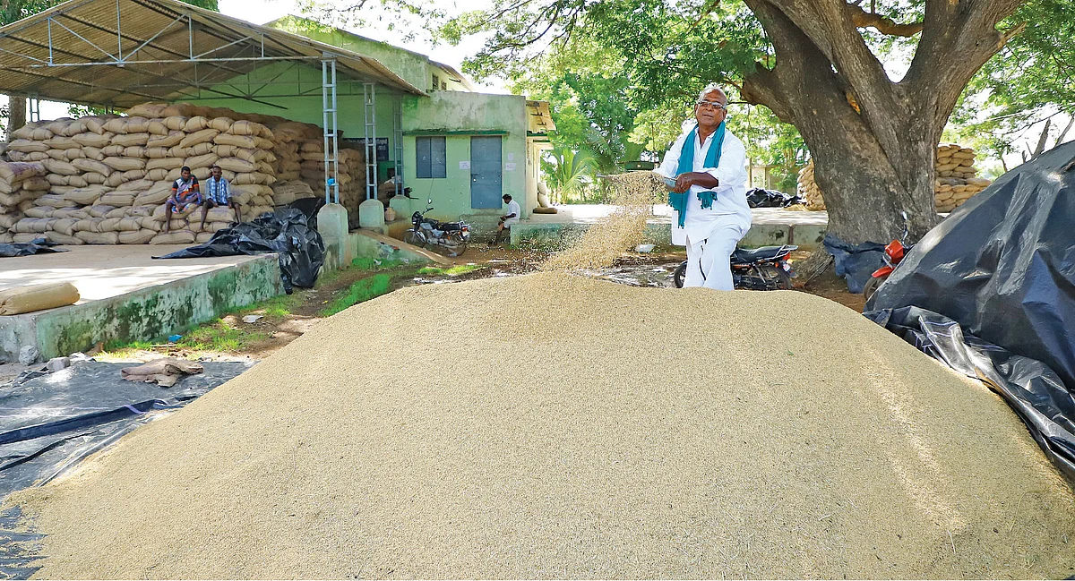 நெல்லுடன் சாமிநாதன்