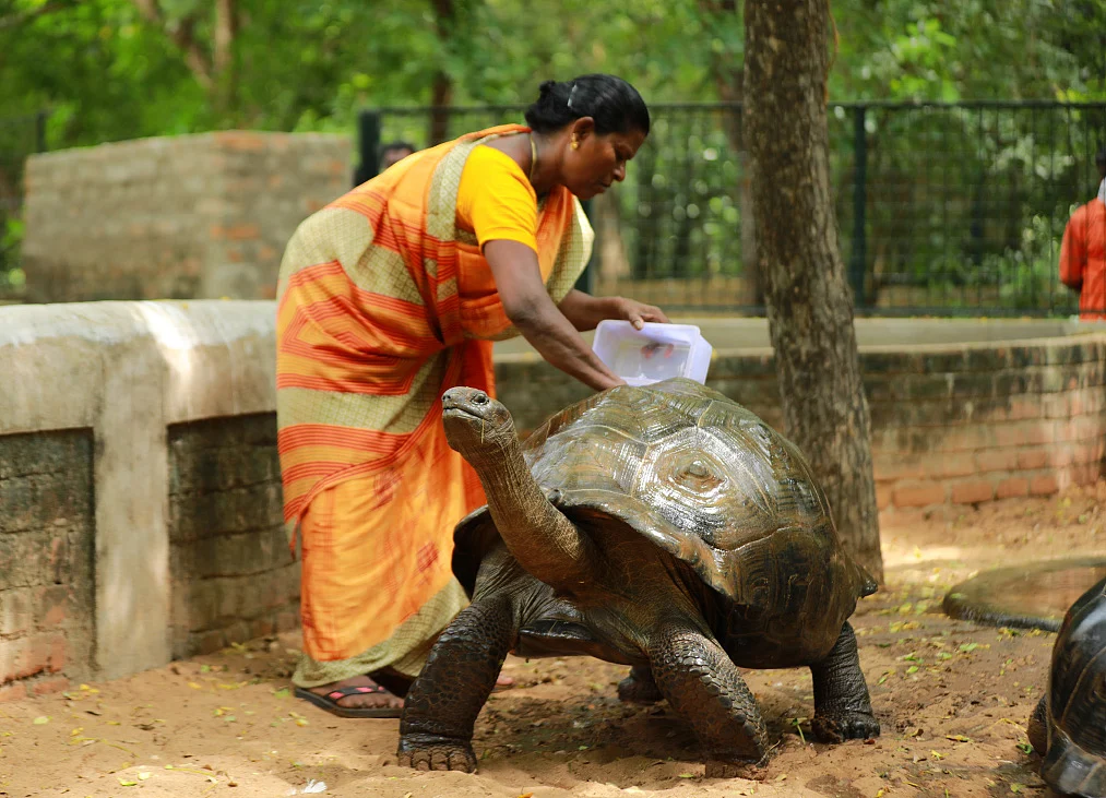 சாந்தி
