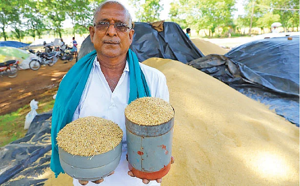 ஏக்கருக்கு ரூ. 52,000 வருமானம்! - இயற்கை விவசாயத்தில் விதைநெல் உற்பத்தி!