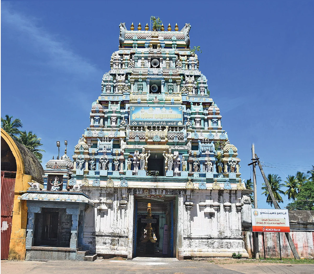 அலமேலு பாட்டியும் வாழைப்பழ பெருமாளும்!