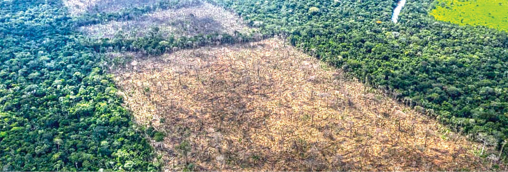காடுகளைக் காக்கும் டிரோன், யானைகளைக் காக்க யார்?