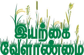இயற்கை வேளாண்மை 13 : வேம்பு... பயிரைக் காக்கும் போராளி!