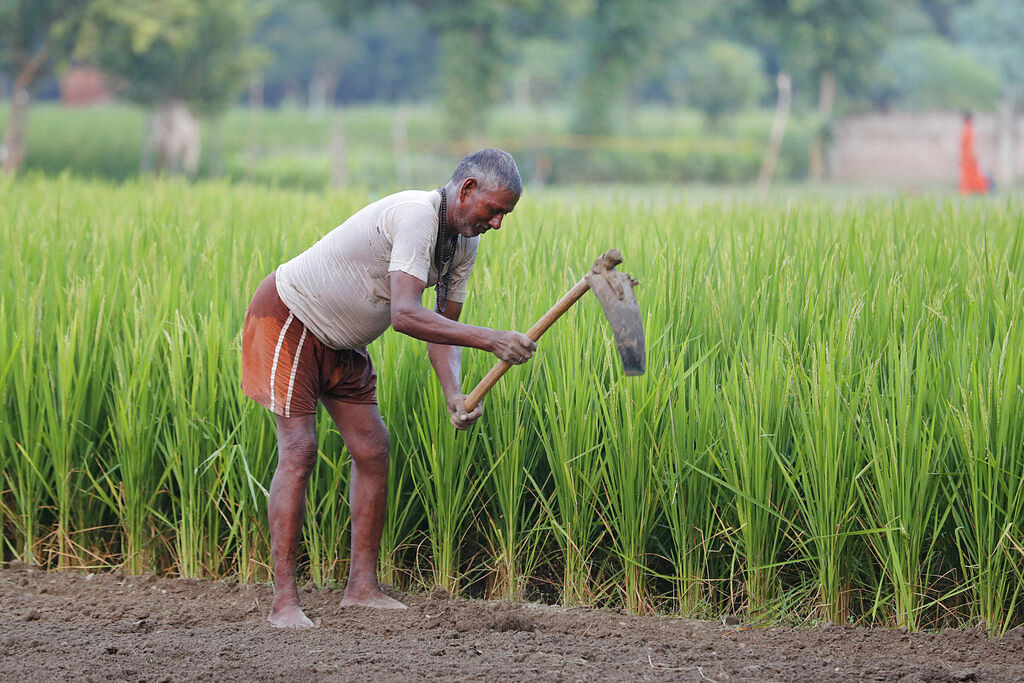 Farmer (Representational Image)