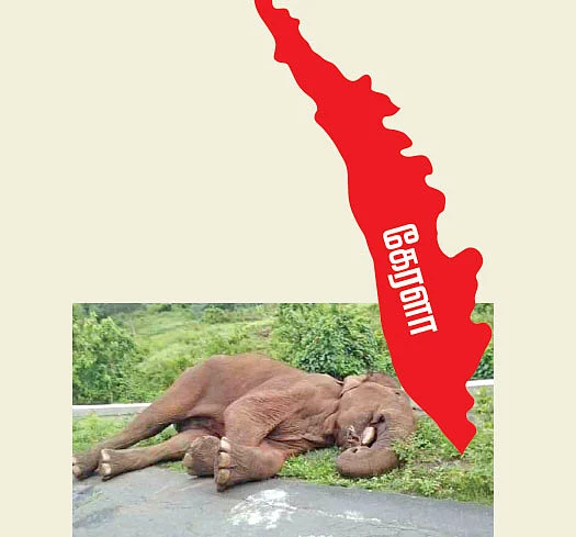 அங்கே என்ன நடக்கிறது?