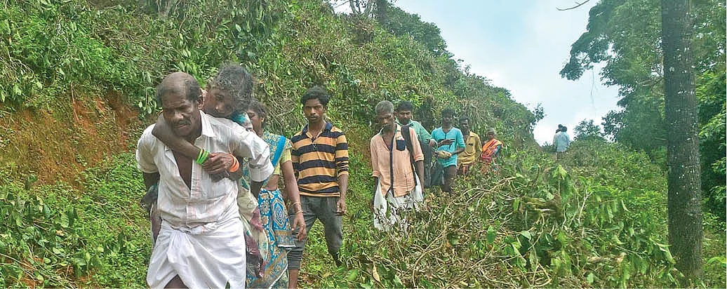 கறார் வனத்துறை... கண்ணீரில் காடர்கள்!