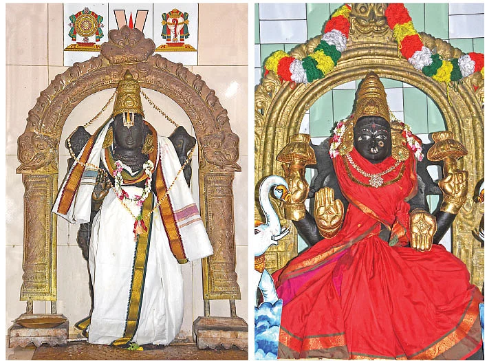அலமேலு பாட்டியும் வாழைப்பழ பெருமாளும்!