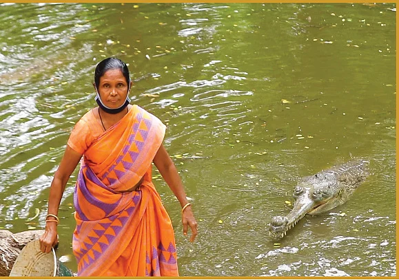பரிமளா