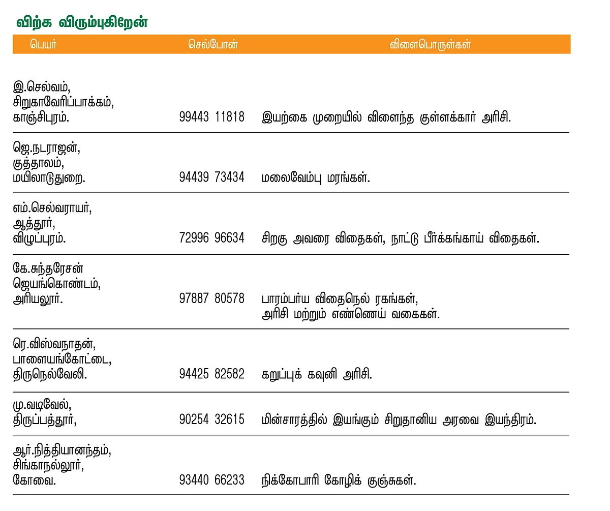 பசுமை சந்தை