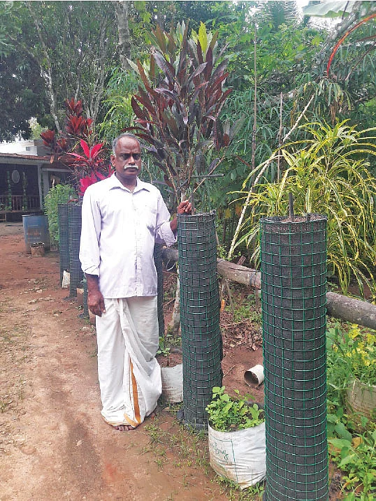கம்பி வலை அமைப்புடன் வர்க்கீஸ்