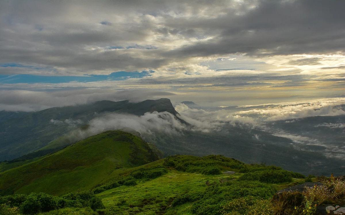 பல்லுயிரிய வளம்