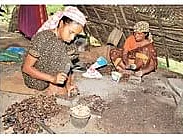 ஆதனக்கோட்டை முந்திரியின் கதை!