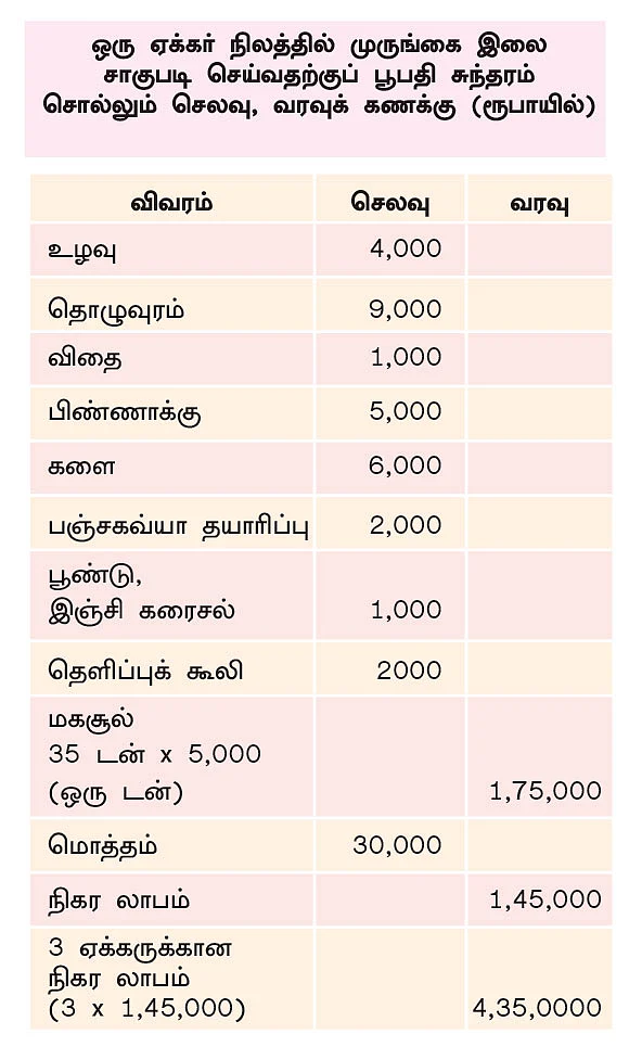 3 ஏக்கர்... ஆண்டுக்கு ரூ. 5,25,000 வருமானம்! - முருங்கை இலையில் முத்தான லாபம்!