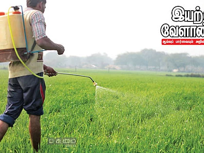 இயற்கை வேளாண்மை 14 : வேப்ப எண்ணெய்... பூச்சிகளுக்கு வில்லன் பயிர்களுக்கு நண்பன்!