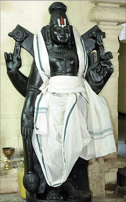 தென்னாட்டு திருப்பதிகள்! - தாமரை மலரில் தோன்றிய பெருமாள்!
