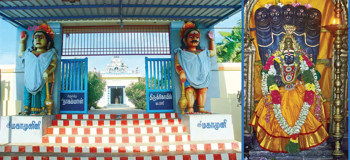மொட்டைப் பாறையில் கேட்ட குழந்தையின் அழுகுரல்!
