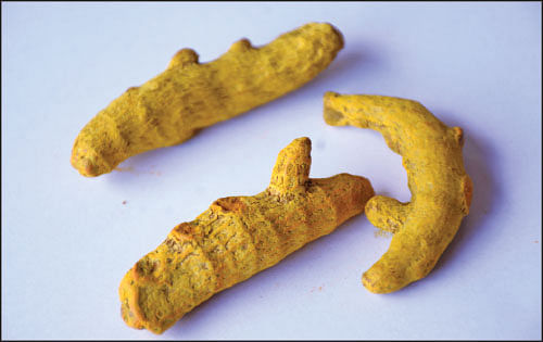 விரலி மஞ்சள்