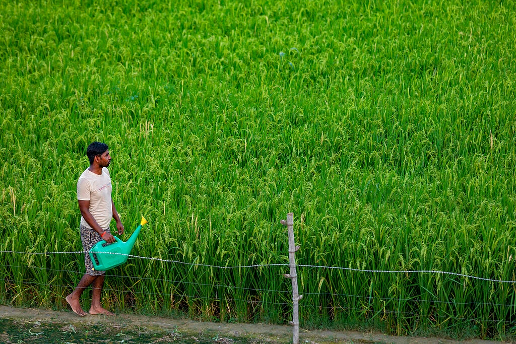 Farmer