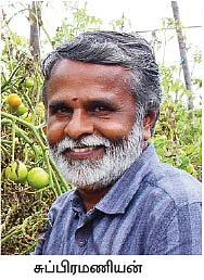 மாதம் ரூ. 37,500 தொடர் வருமானம் தரும் மேட்டுப்பாத்தி!