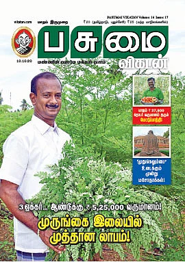 3 ஏக்கர்... ஆண்டுக்கு ரூ. 5,25,000 வருமானம்! - முருங்கை இலையில் முத்தான லாபம்!