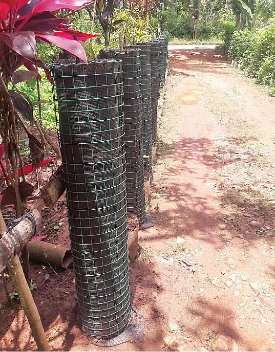 வீட்டுத்தோட்டத்தில் நிற்கும் கம்பி வலைகள் அமைப்பு