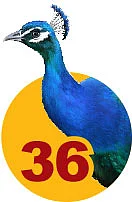 கண்டுகொண்டேன் கந்தனை - 36: ஞானமலையில் கோலக் குமரன்