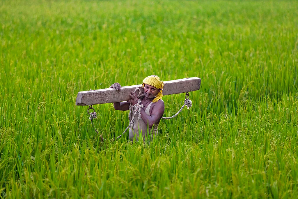 Farmer (Representational Image)