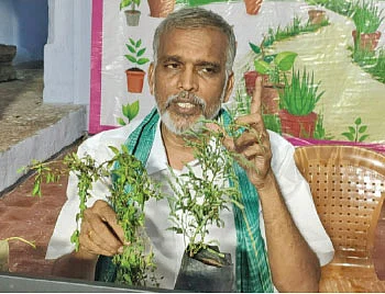 வீட்டில் இருக்க வேண்டிய 20 மூலிகைகள்!