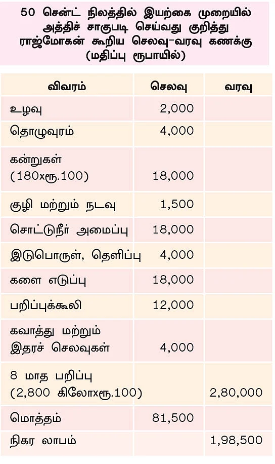 50 சென்ட்... ஆண்டுக்கு ரூ. 2,80,000 அருமையான வருமானம் தரும் அத்தி!