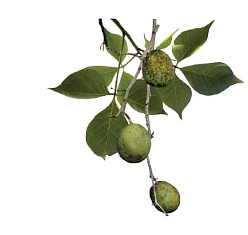 புண்ணிய புருஷர்கள் - 34: ‘ஏற்றுக தீபம்... போற்றுக தெய்வம்!’