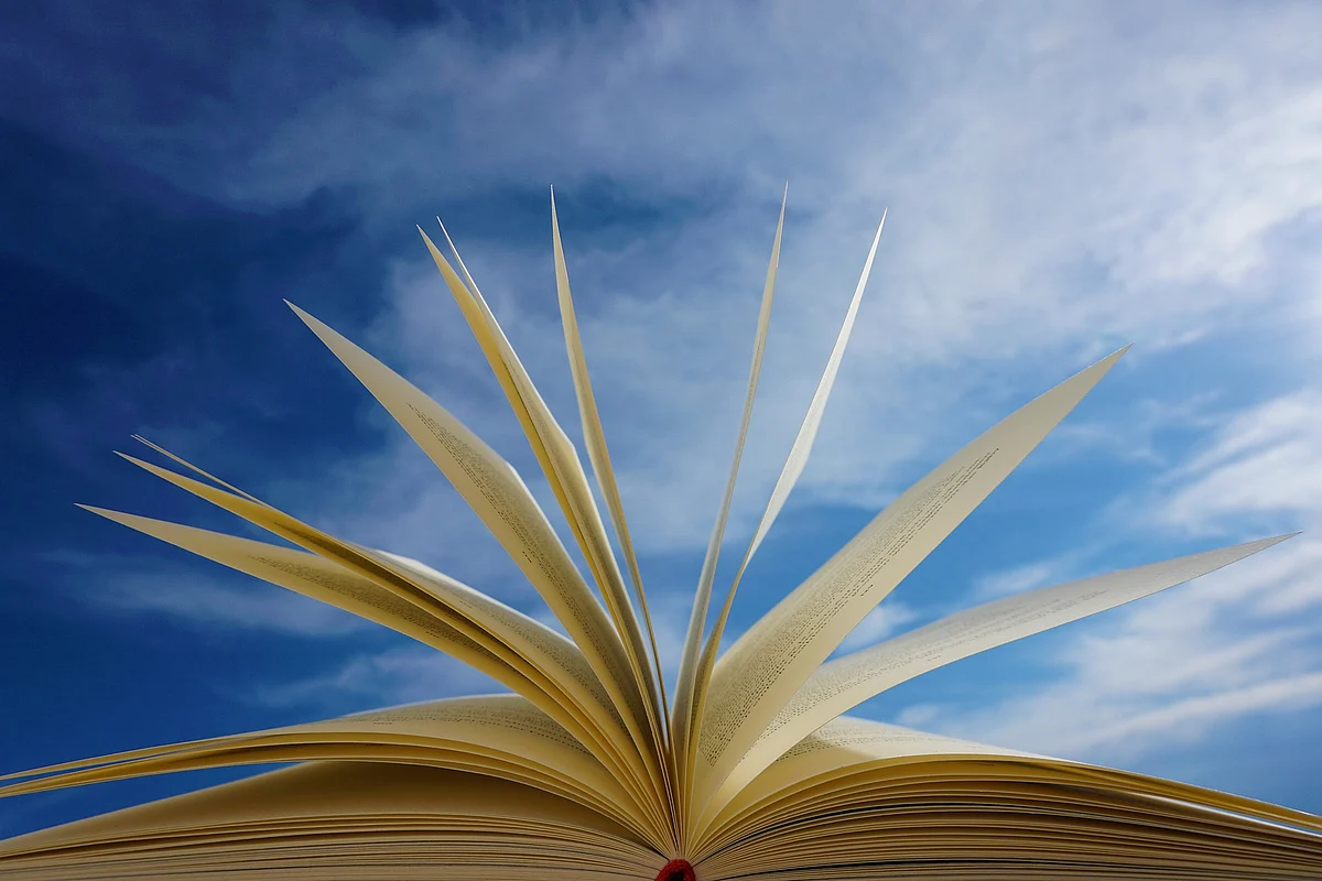 Reading