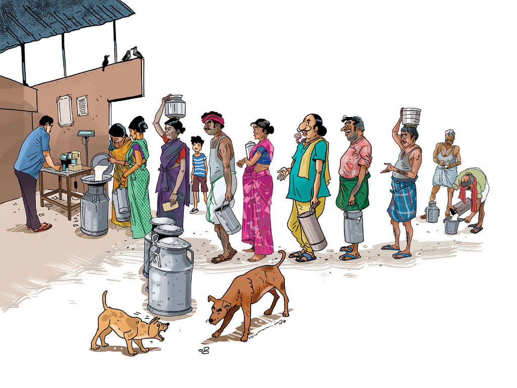 மண்புழு மன்னாரு