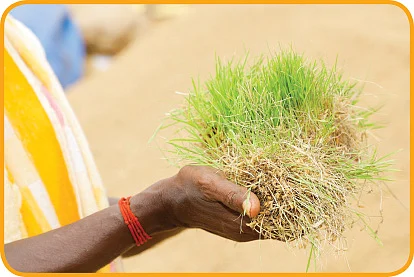 துயரக்களஞ்சியம்! - விரக்தியில் விவசாயிகள்