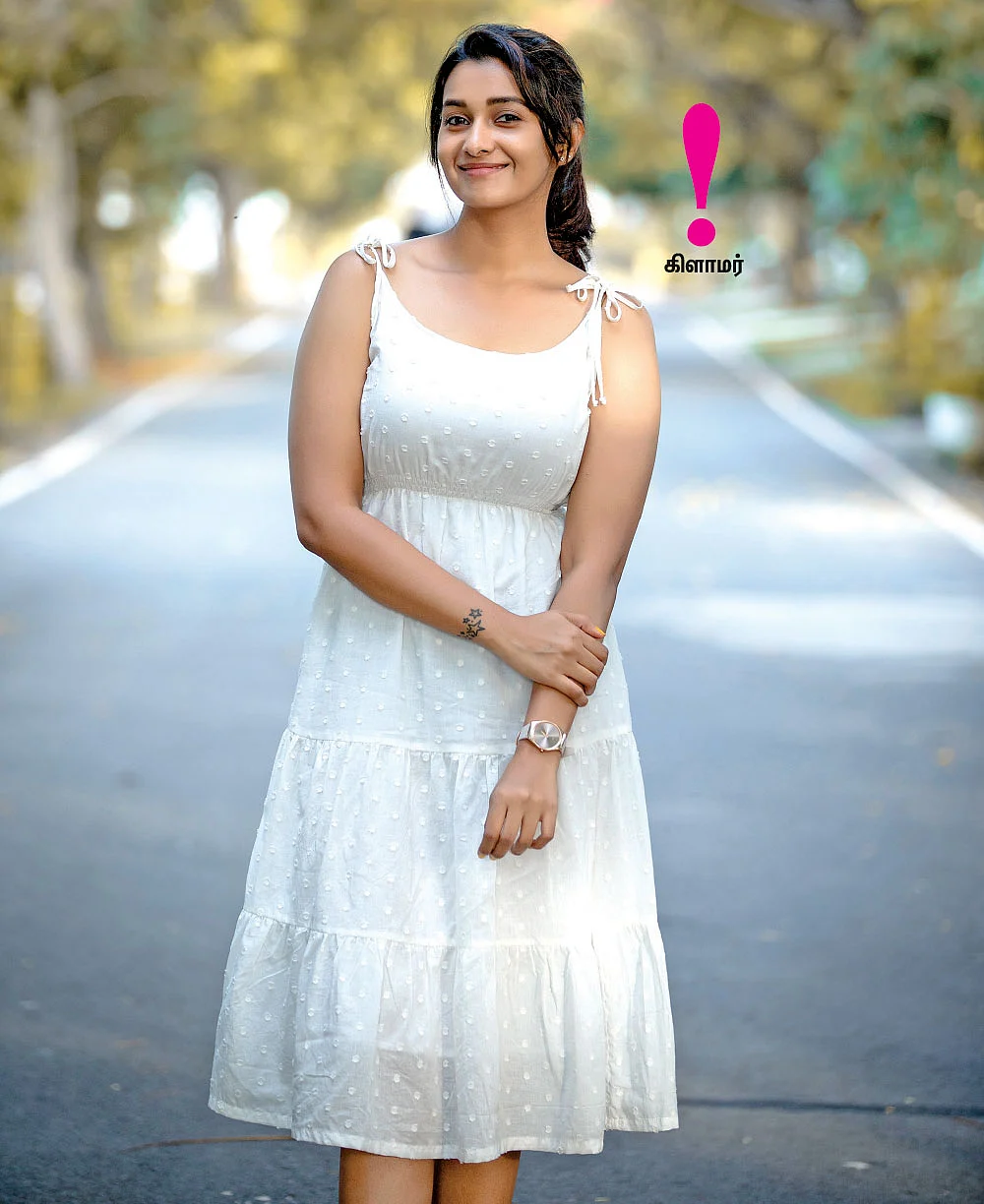 மிஸ்டர் மியாவ்