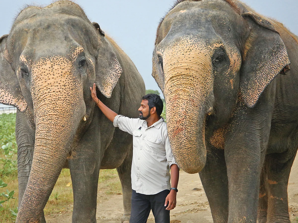 “என் உடல் முழுவதும் கரடிகளின் ஆட்டோகிராப்!” - ஆச்சர்யமூட்டும் ‘கரடி’ டாக்டர்