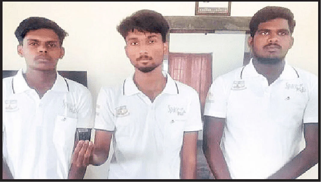 நியூஸ் காக்டெயில்