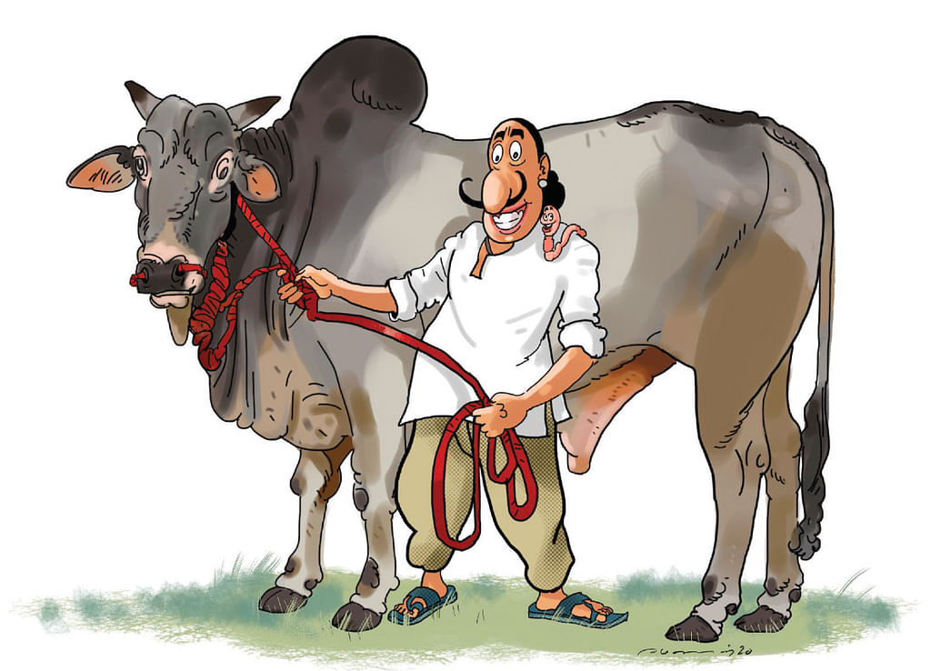 மண்புழு மன்னாரு