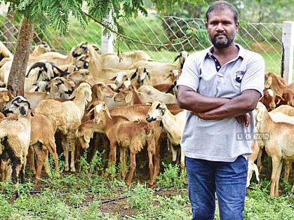 10 ஏக்கர்... ஆண்டுக்கு 10 லட்சம் ரூபாய் லாபம்! - ஆடு, கோழி, முயல், வான்கோழி வளர்ப்பு!