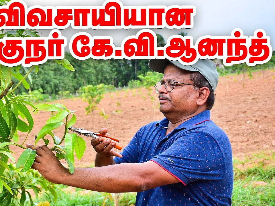 இயக்குநர் கே.வி.ஆனந்தின் இயற்கை விவசாயம்! | Director K.V.Anand Organic Farm