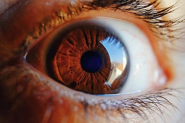 Eyes (Representational Image)