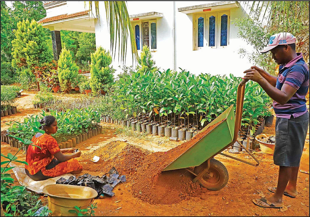 ஊரெங்கும் நர்சரி... உழைப்புக்கு முன்னோடி!