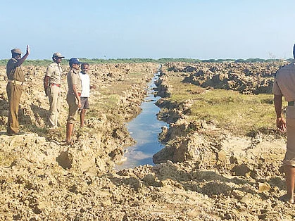 100 ஏக்கர் மாங்குரோவ் காடுகள்.... உருவாக்கிய ராமநாதபுரம் வனச்சரகம்!