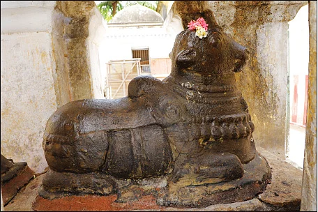 நாரதர் உலா: `கோயில் விழாக்கள் களைகட்டுமா?'