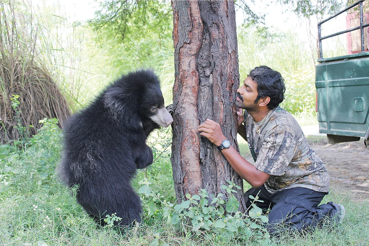 “என் உடல் முழுவதும் கரடிகளின் ஆட்டோகிராப்!” - ஆச்சர்யமூட்டும் ‘கரடி’ டாக்டர்