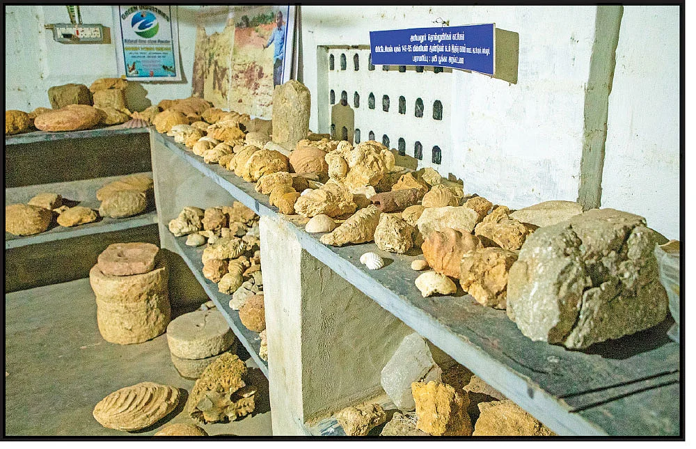 பெரம்பலூர் டைனோசருக்கு வயசு ஏழு கோடி!