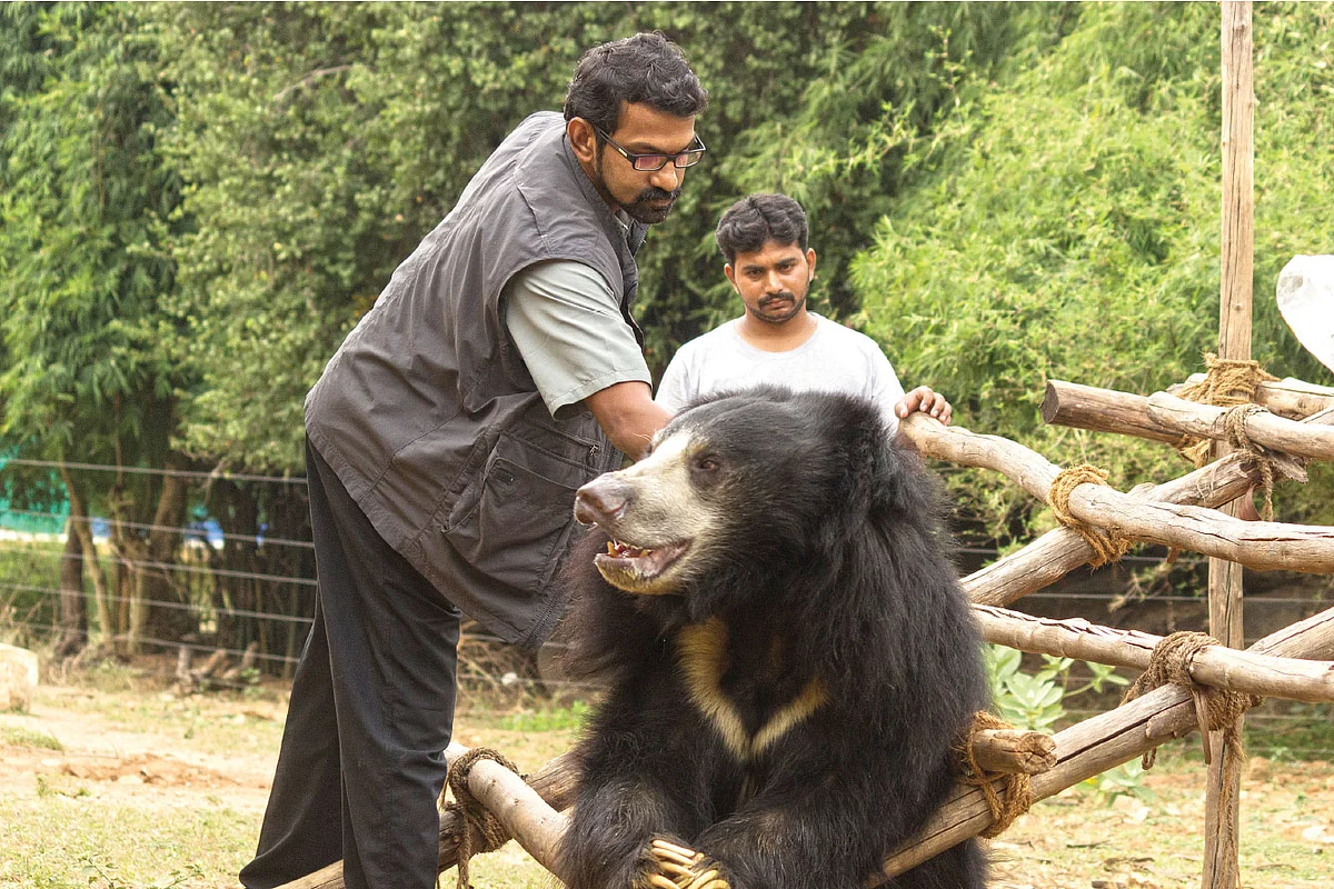“என் உடல் முழுவதும் கரடிகளின் ஆட்டோகிராப்!” - ஆச்சர்யமூட்டும் ‘கரடி’ டாக்டர்