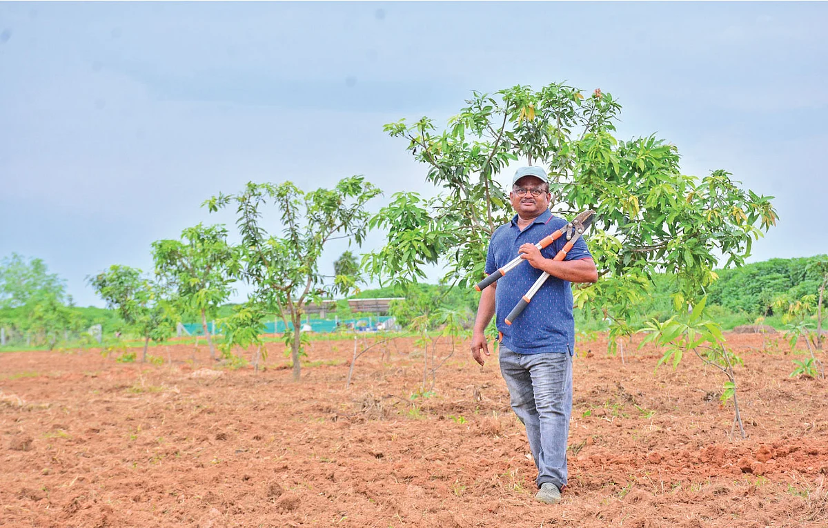 இயற்கை விவசாயத்துக்கான உரங்களைத் தேடித் தேடி வாங்கிக்கிட்டிருக்கேன். அந்தளவுக்கு இயற்கை விவசாயம் என்னுடன் ஒன்றரக் கலந்துருச்சு”