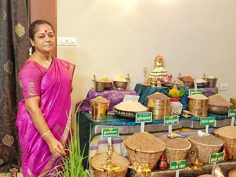 கிச்சிலிச்சம்பா, வாடன்சம்பா, நார்ப்பெட்டி... மதுரை புவனேஸ்வரியின் `இயற்கை விவசாய' கொலு!