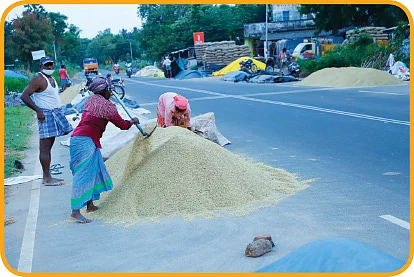 துயரக்களஞ்சியம்! - விரக்தியில் விவசாயிகள்