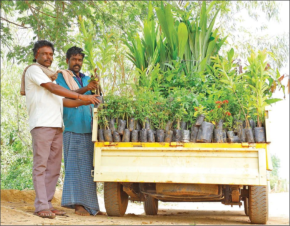 மொத்த விற்பனைக்காக கன்றுகளை வாங்கிச் செல்லும் வியாபாரிகள்...
