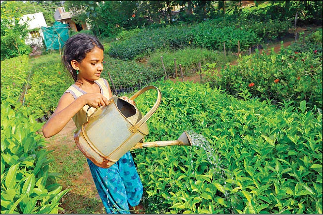 ஊரெங்கும் நர்சரி... உழைப்புக்கு முன்னோடி!